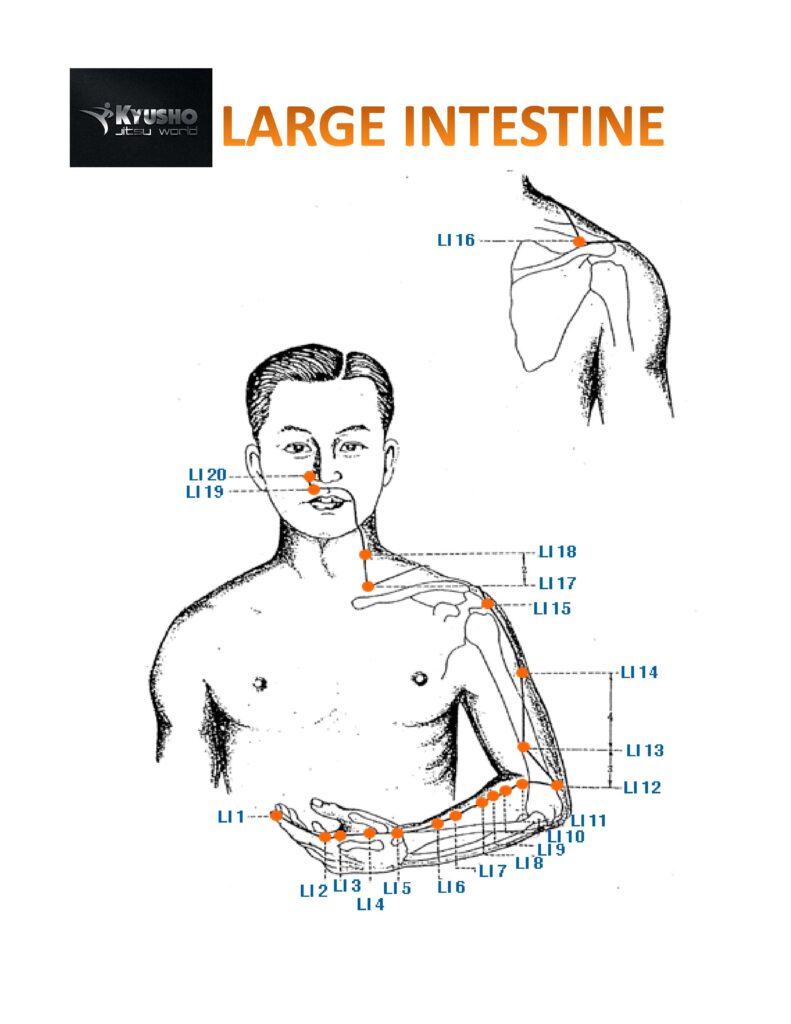 Large Intestine Pressure Points – Encyclopedia of Kyusho Jitsu